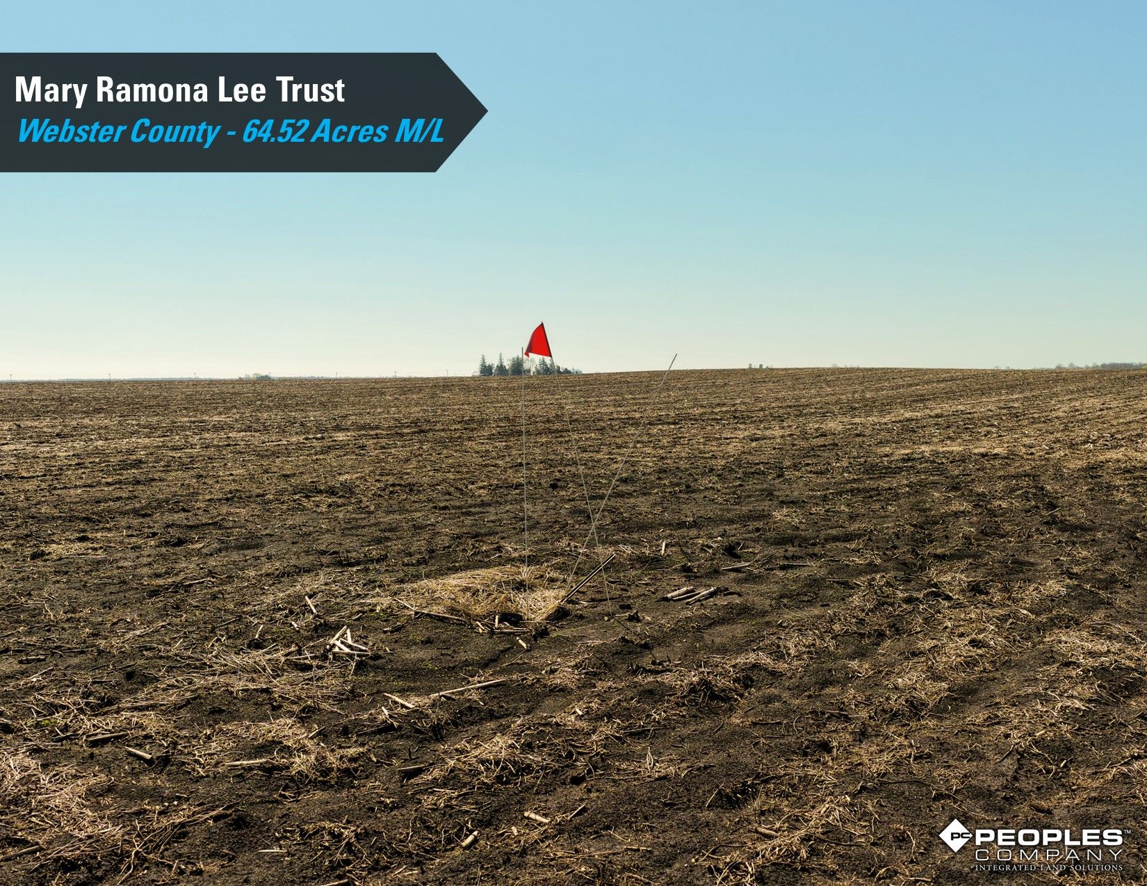 Listing Photo: Webster-County-Iowa-Online-Only-Land-Auction-Lee-Trust-64.52-Acres-Duncombe- (8)